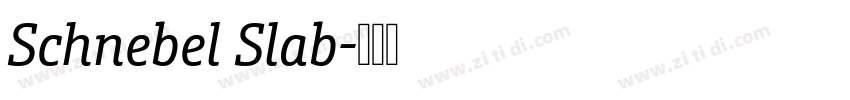 Schnebel Slab字体转换 Schnebel Slab字体转换